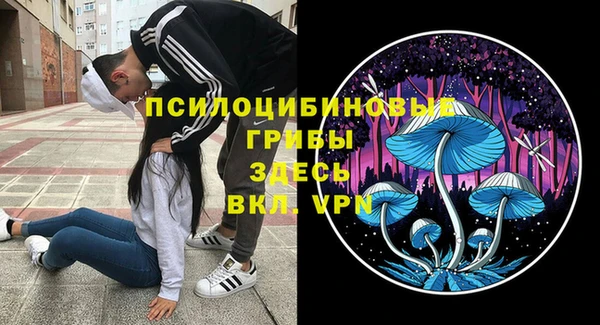 дживик Алексеевка