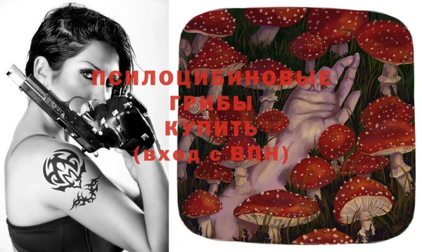 дживик Алексеевка