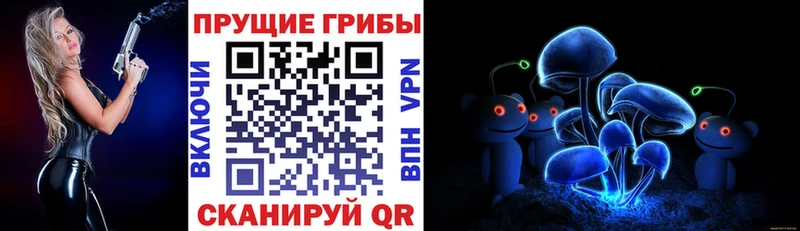 Псилоцибиновые грибы Magic Shrooms  Лахденпохья 